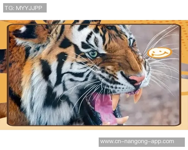 老虎大学与阿特拉斯的激烈对决揭示了体育精神与团队合作的重要性 老虎大学与阿特拉斯的激烈对决揭示了体育精神与团队合作的重要性